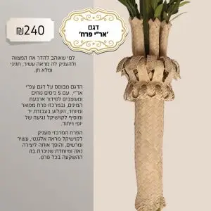 קוישיקל דגם אר''י פרח