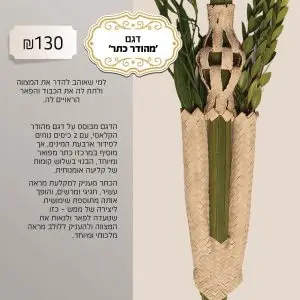 קוישיקל דגם מהודר כתר